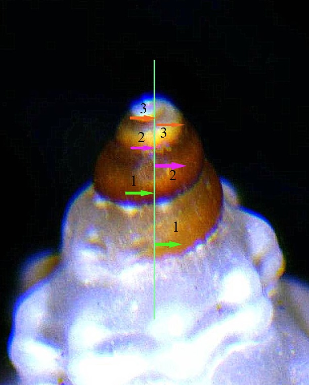 un aiutino per farmi capire........